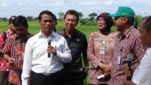 Di Toko Ini Anda Bisa Menjumpai Makanan & Kerajinan Khas Kebumen
